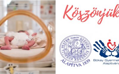Megérkeztek a 2019-es 1%-os felajánlások